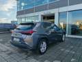 Lexus UX 250h Hybrid auto Fari LED Navi Retrocamera Cruise Grau - thumbnail 7