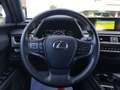 Lexus UX 250h Hybrid auto Fari LED Navi Retrocamera Cruise Grey - thumbnail 18