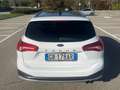 Ford Focus SW 2.0 ecoblue Vignale Co-pilot s&s 150cv auto Bianco - thumbnail 6