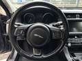 Jaguar XF 2.0 d  Pure BERLINA AUTOMATICA TELECAMERA IVA ESP Сірий - thumbnail 12