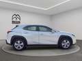 Lexus UX 250h Business 2wd cvt my20 Grijs - thumbnail 4