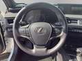 Lexus UX 250h Business 2wd cvt my20 Grijs - thumbnail 10