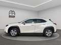 Lexus UX 250h Business 2wd cvt my20 Grijs - thumbnail 5