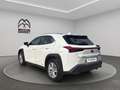 Lexus UX 250h Business 2wd cvt my20 Grijs - thumbnail 8