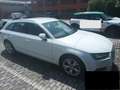 Audi A4 A4 Avant 2.0 tfsi g-tron S line 170cv s-tronic Bianco - thumbnail 1