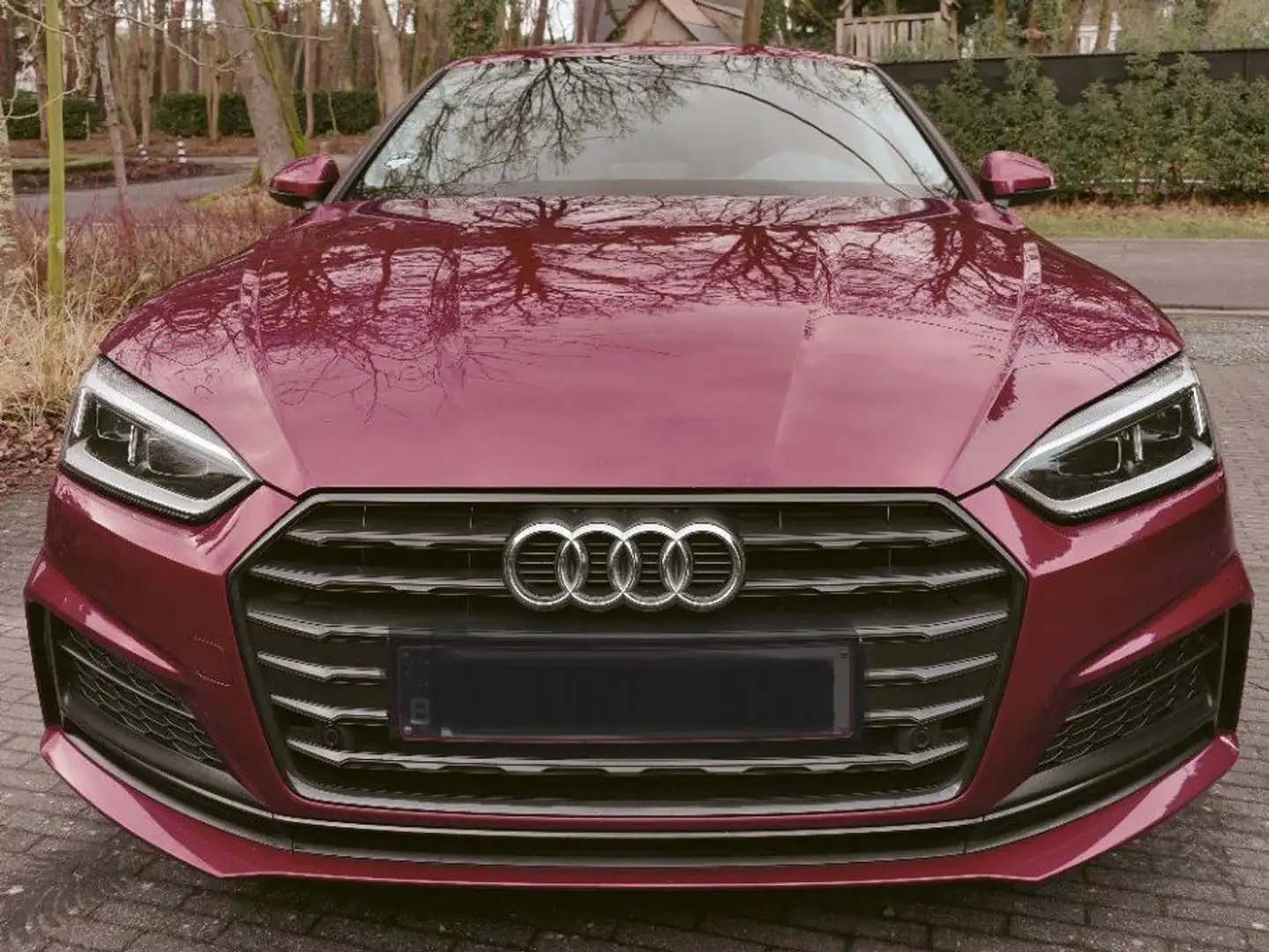 Audi A5 A5 g-tron S tronic Bus.Ed. S-Line - B&O sound syst Rouge - 2
