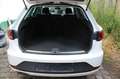 SEAT Leon ST FR 1.4 TSI ACT LED Faszination+Infotain Weiß - thumbnail 4