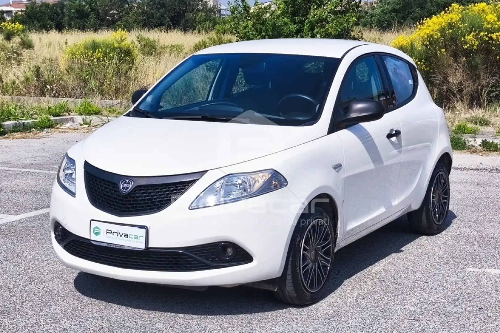 Lancia Ypsilon Ypsilon 1.2 69 CV 5 porte GPL Ecochic Silver Blanc - 1