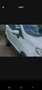 Ford EcoSport EcoSport 2018 1.5 tdci Business s Bianco - thumbnail 3