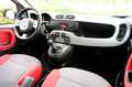 Fiat Panda 0.9 TwinAir Edizione Cool Airco|El ramen voor Wit - thumbnail 5