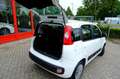 Fiat Panda 0.9 TwinAir Edizione Cool Airco|El ramen voor Wit - thumbnail 9