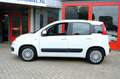 Fiat Panda 0.9 TwinAir Edizione Cool Airco|El ramen voor Wit - thumbnail 23