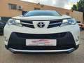 Toyota RAV 4 150D Executive AWD AutoDrive Blanc - thumbnail 13