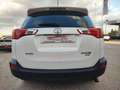 Toyota RAV 4 150D Executive AWD AutoDrive Blanc - thumbnail 4