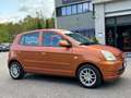 Kia Picanto 1.1 12V Spicy Arancione - thumbnail 4