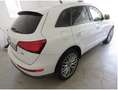 Audi Q5 Q5 3.0 TDI (clean diesel) quattro S tronic Weiß - thumbnail 4