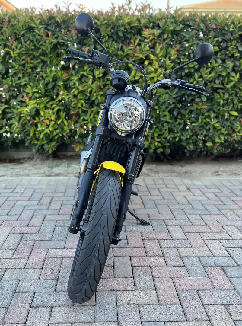Ducati Scrambler 800 Icon Yellow Yellow - 2
