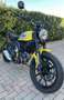 Ducati Scrambler 800 Icon Yellow Yellow - thumbnail 3