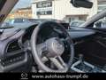 Mazda CX-30 2024 2.0L e-SKYACTIV X 186ps 6AT FWD Homura Plateado - thumbnail 19