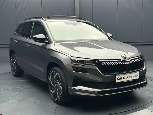 Skoda Karoq view 7