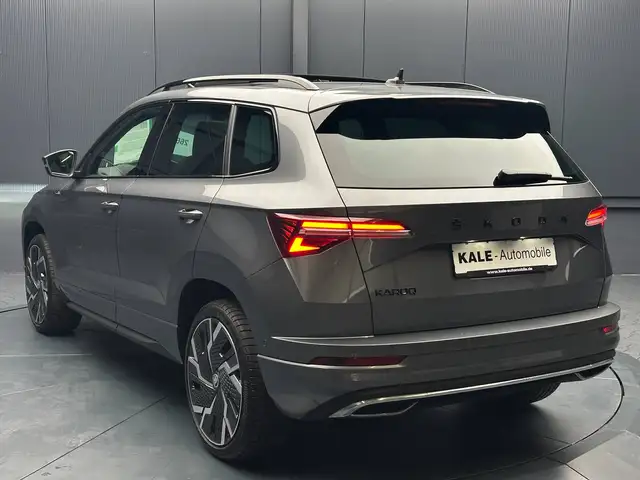 Skoda Karoq view 3