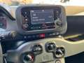 Fiat Panda 1.0 Firefly Hybrid 70cv RADIO BLUETOOTH Bianco - thumbnail 10