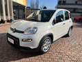 Fiat Panda 1.0 Firefly Hybrid 70cv RADIO BLUETOOTH Bianco - thumbnail 1