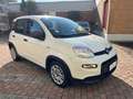 Fiat Panda 1.0 Firefly Hybrid 70cv RADIO BLUETOOTH Bianco - thumbnail 3