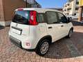 Fiat Panda 1.0 Firefly Hybrid 70cv RADIO BLUETOOTH Bianco - thumbnail 4