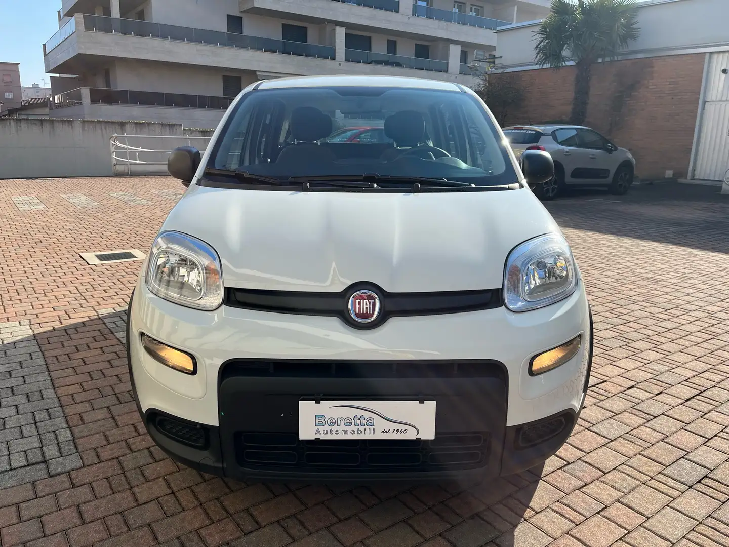 Fiat Panda 1.0 Firefly Hybrid 70cv RADIO BLUETOOTH Bianco - 2