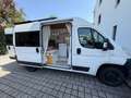 Fiat Ducato Ducato GR-Panorama 33 L2H2 130 Multijet G-Panorama Weiß - thumbnail 2