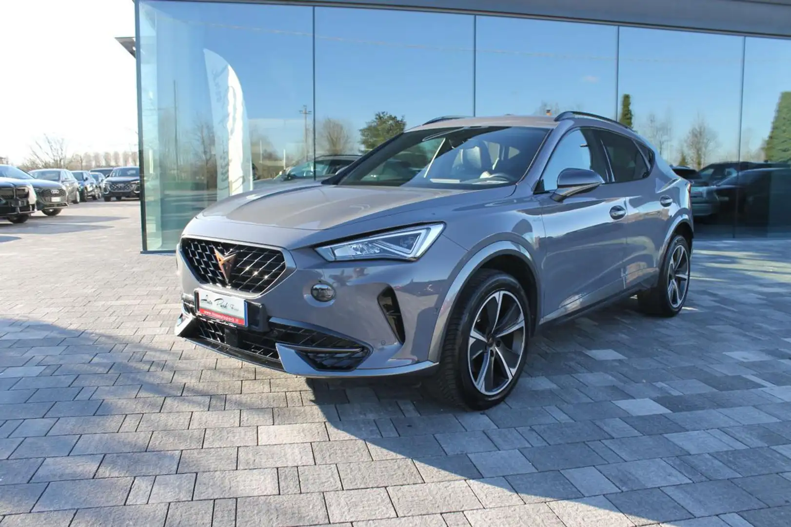 CUPRA Formentor 2.0 TDI Grau - 2