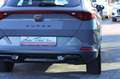 CUPRA Formentor 2.0 TDI Grau - thumbnail 21