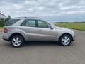 Mercedes-Benz ML 500 ML 500 4matic Grau - thumbnail 4