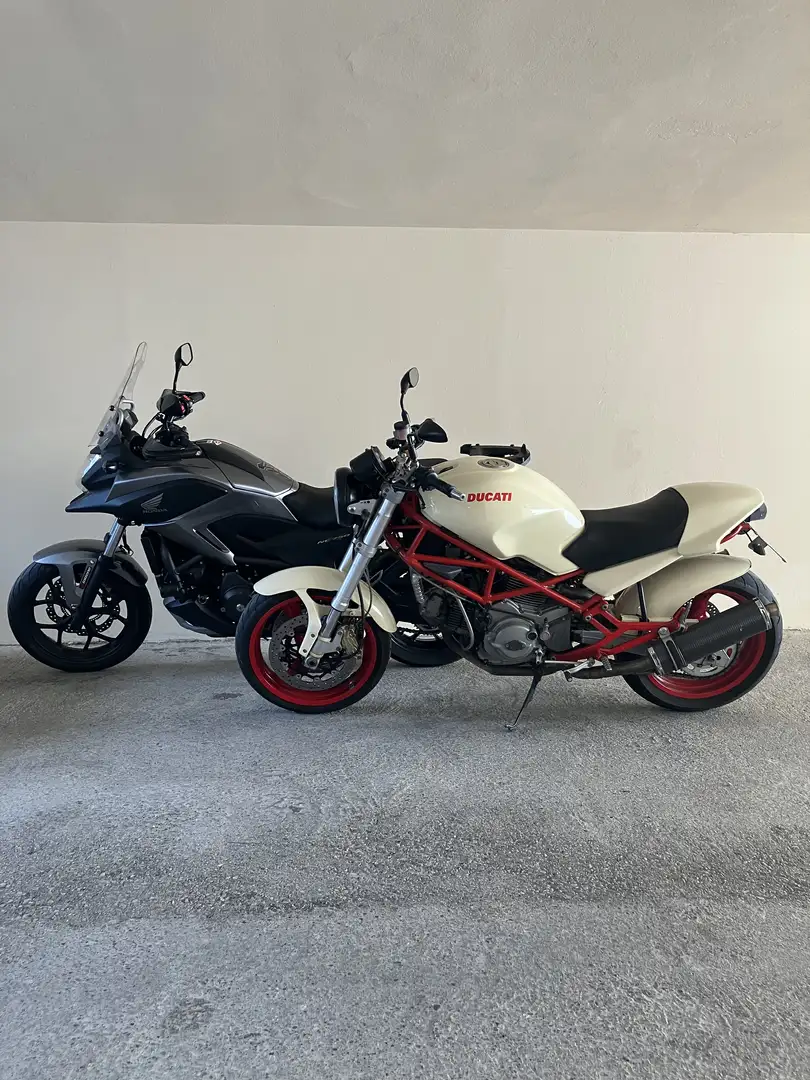 Ducati Monster 600 - 1