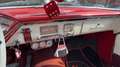 Sonstige Sonstige Monterey *V8* Österreichische Papiere/ NEU Pickerl Rot - thumbnail 16
