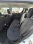 Suzuki Swift Swift V 2015 5p 1.2 vvt B-Cool E6 Bianco - thumbnail 14