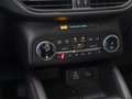 Ford Kuga ST-Line 5-türig 2.5 l Duratec (PHEV). CVT-Automati Blue - thumbnail 14