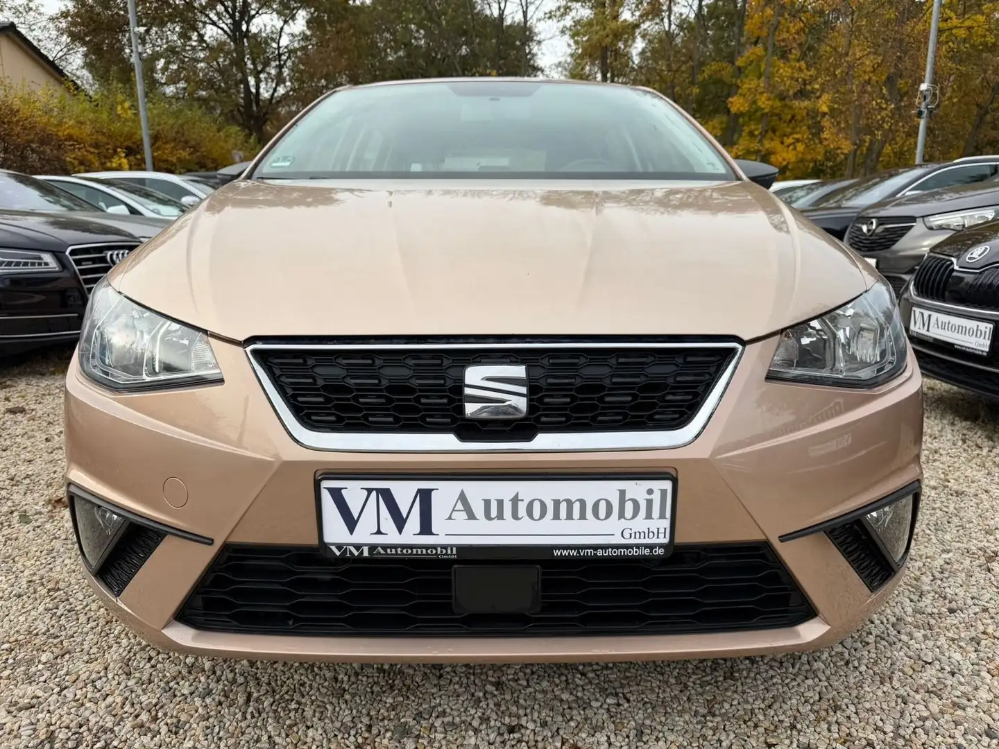 SEAT Ibiza TSI Reference Klima*Tempomat Beige - 2