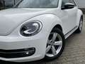 Volkswagen Beetle 2.0 TSI 200PK Sport | Navi/Clima/Cruise/17"/A.Spoi Wit - thumbnail 27