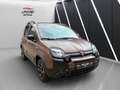 Fiat Panda New Panda Trussardi 1.2 Klimaautomatik Marrón - thumbnail 4