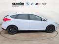 Ford Focus 1,0 EcoBoost Business Edition + GARANTIE Weiß - thumbnail 7