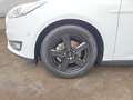 Ford Focus 1,0 EcoBoost Business Edition + GARANTIE Weiß - thumbnail 2