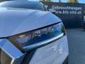 Skoda Octavia Combi 2,0 TDI Style DSG | NP: €42.800 Weiß - thumbnail 37