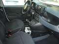 Fiat Panda 1.0 FireFly S&S Hybrid 5°posto Pack City Km0 Blanc - thumbnail 24