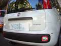 Fiat Panda 1.0 FireFly S&S Hybrid 5°posto Pack City Km0 Blanc - thumbnail 7