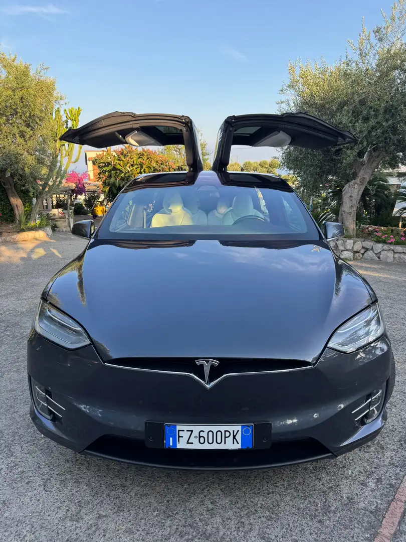 Tesla Model X Performance Ludicrous Grigio - 2