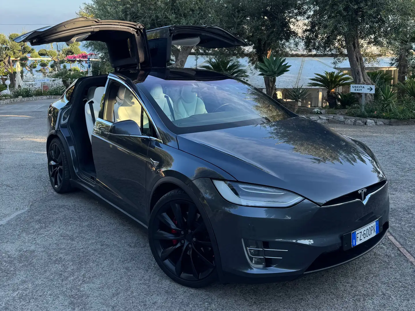 Tesla Model X Performance Ludicrous Grigio - 1