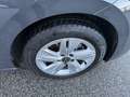 Volkswagen Golf 2.0TDI Life DSG 115CV Navi E6D Lane Assist IVAespo Grau - thumbnail 19