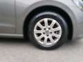 Volkswagen Golf GOLF Trendline 1,2 TSI BMT S&S Grau - thumbnail 5